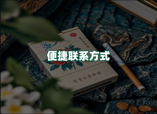 核心优势